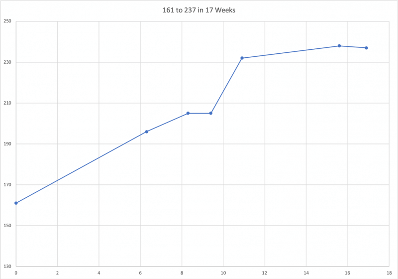 Step 1 Low Starting Score - 161 to 237 in 17 Weeks